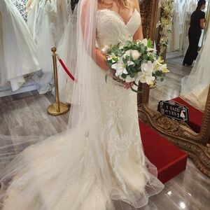Elegant Strapless Lace Wedding Gown